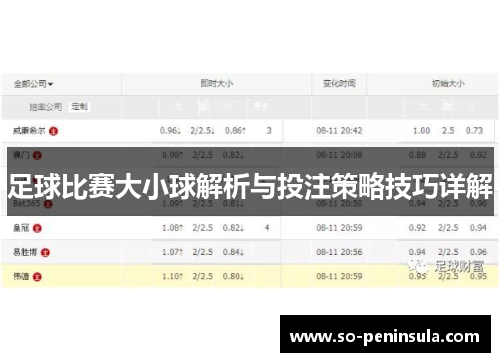 足球比赛大小球解析与投注策略技巧详解
